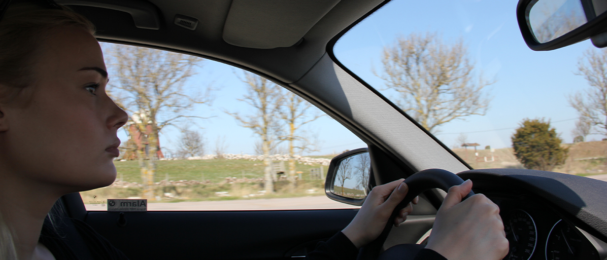 Person som övningskör